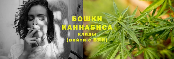 PSILOCYBIN Алексеевка