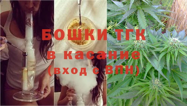 молекула духа Алзамай