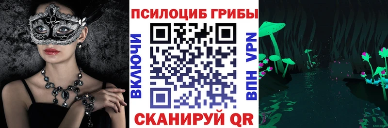 ссылка на мегу tor  магазин продажи наркотиков  Бирюч  Псилоцибиновые грибы мицелий 